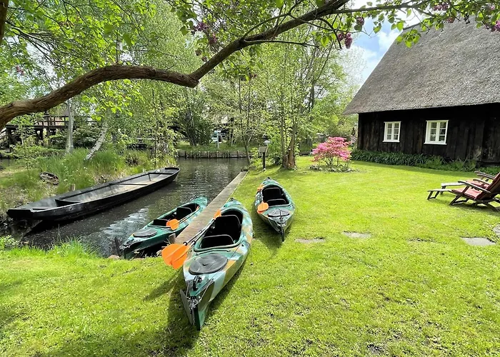 Schlangenkoenig * Kaupen